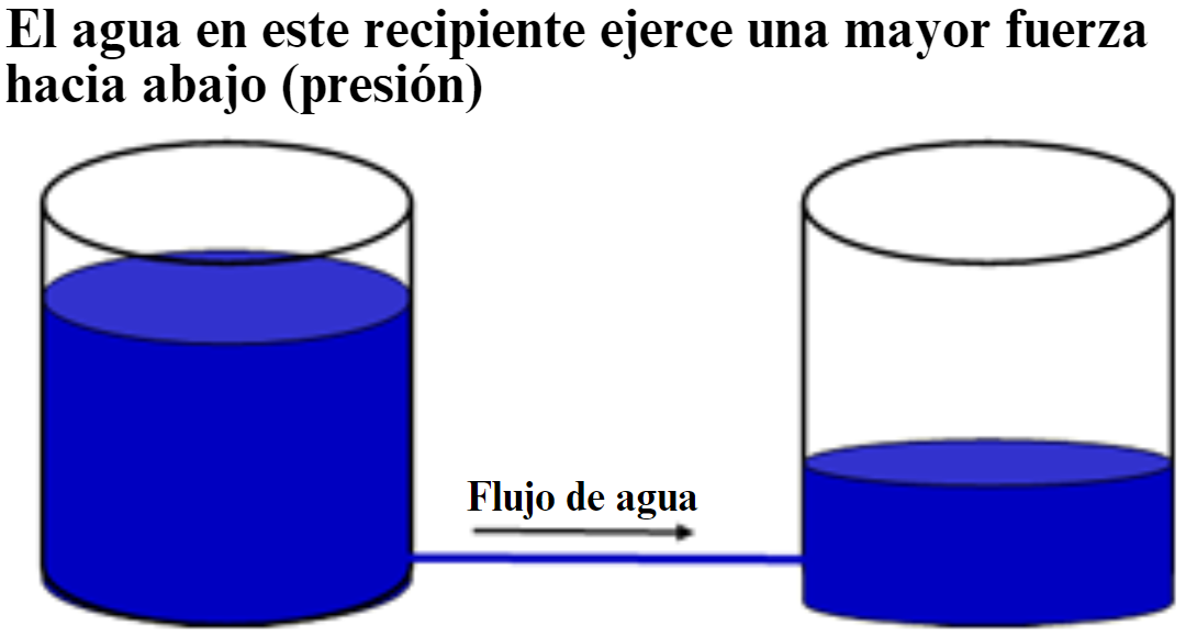 Water in the full container exerts greater downward force