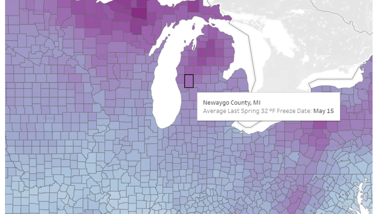 Freeze Date Tool