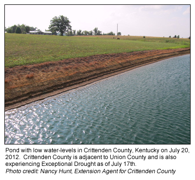 Farm pond showing low water level