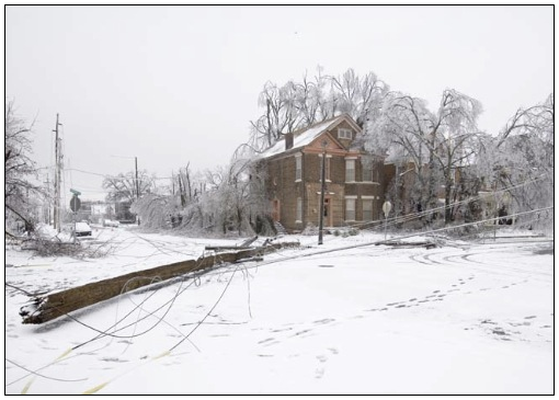 Downed power pole