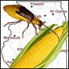 WARM Pest and Crop GDD Calculators