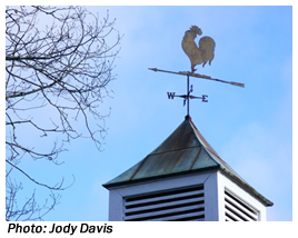 Weather Vane